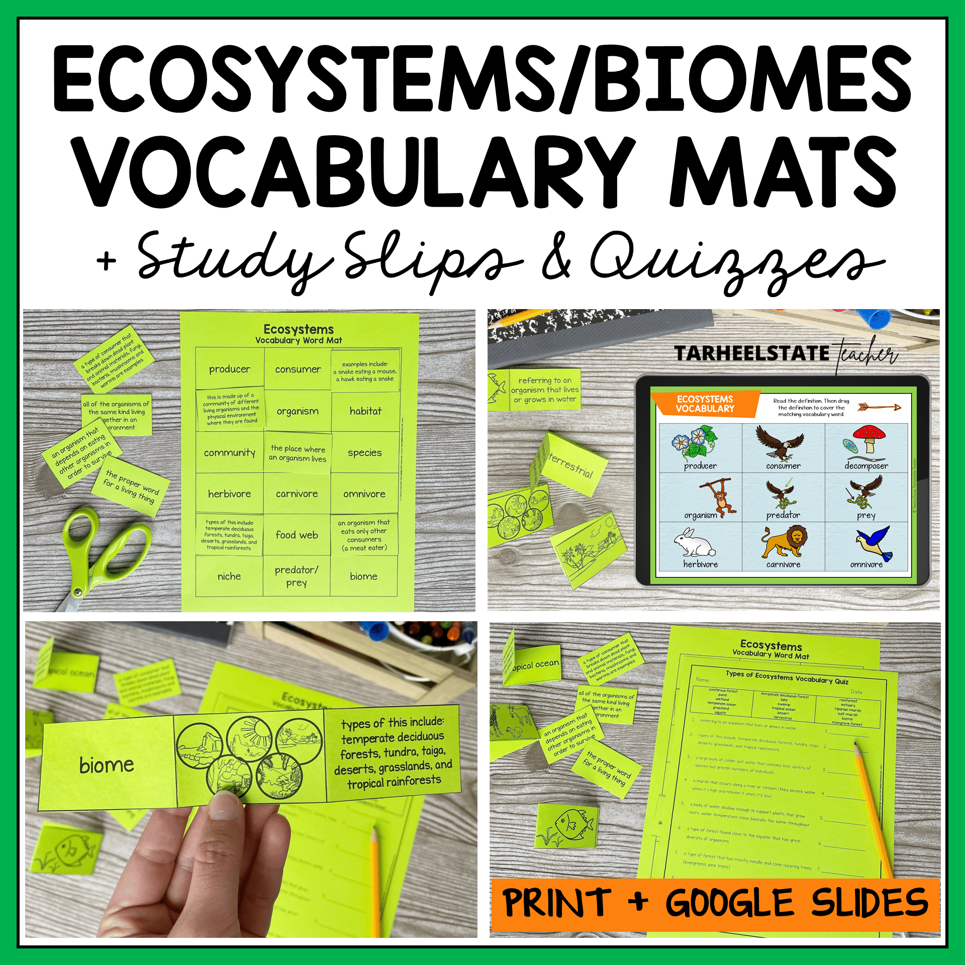 ecosystems and biomes vocabulary activities vocabulary mats, study slips, quizzes, and google slides games