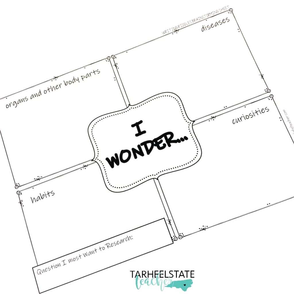 writing riddles I wonder graphic organizer w logo