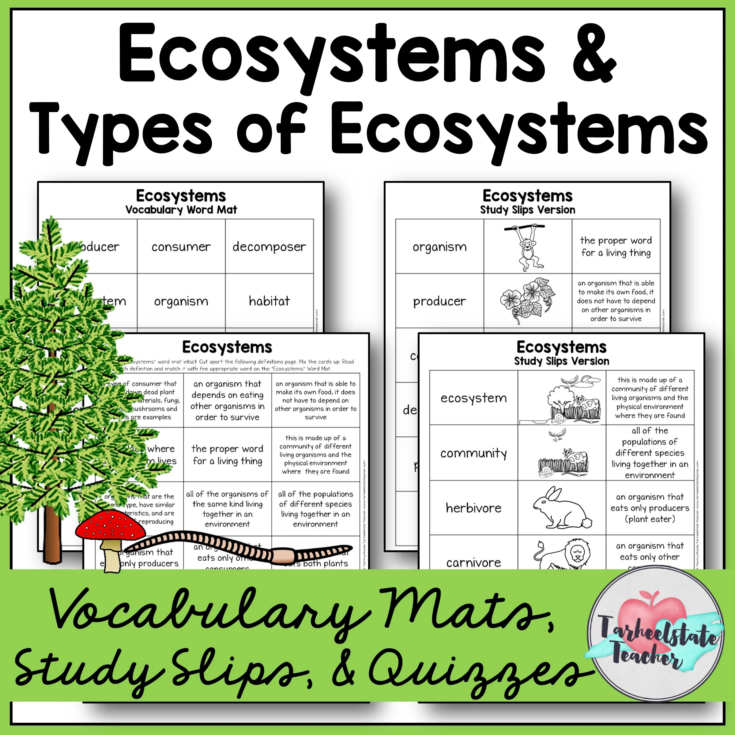 EcosystemsVocabularyMats 1