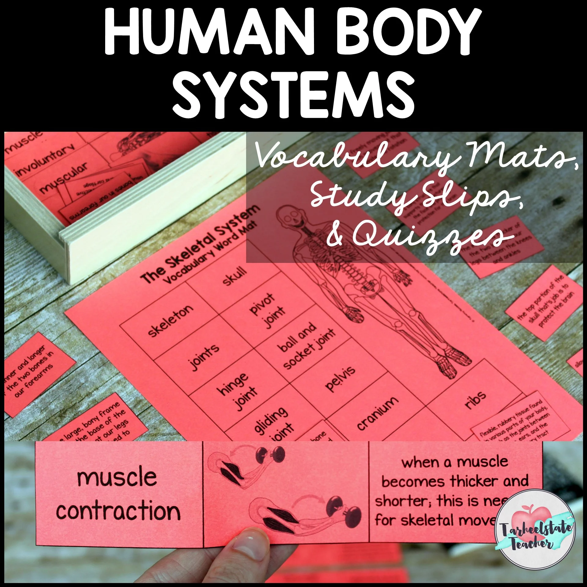 Science Vocabulary Strategies - HUMANBODYSYSTEMSVOCABULARYSETS HUMANBODYSYSTEMSVOCABULARYSETS