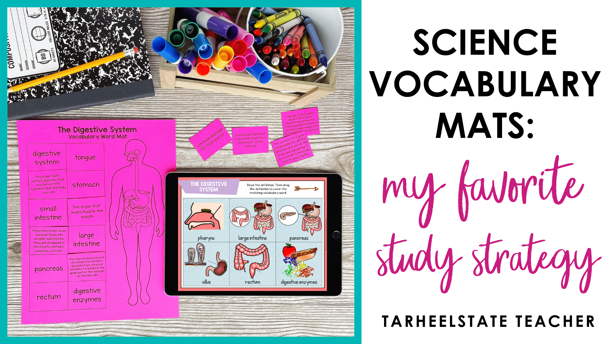 ScienceVocabularyMatsmyfavoritestudystrategy 1