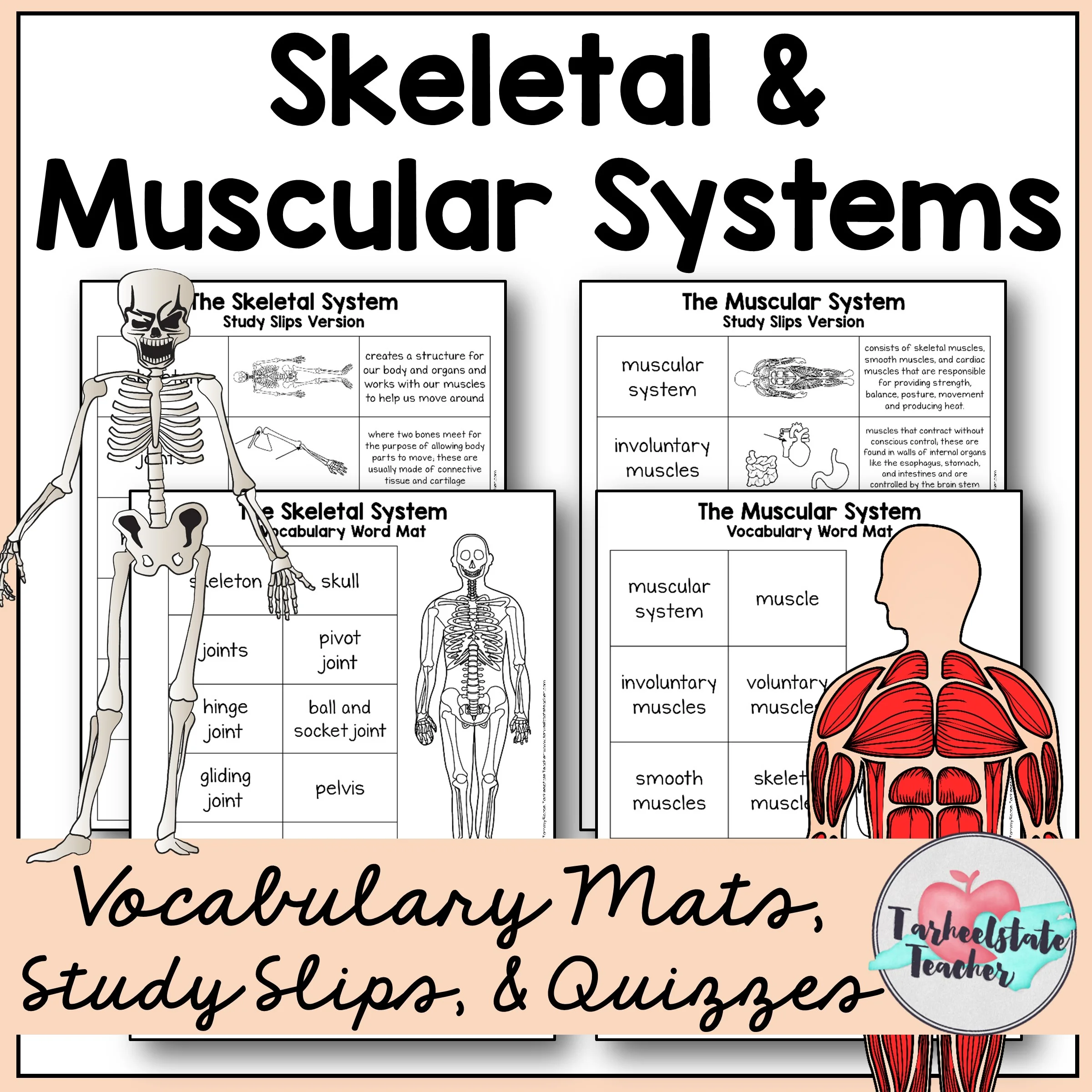 ScienceVocabularyThumbnails 1