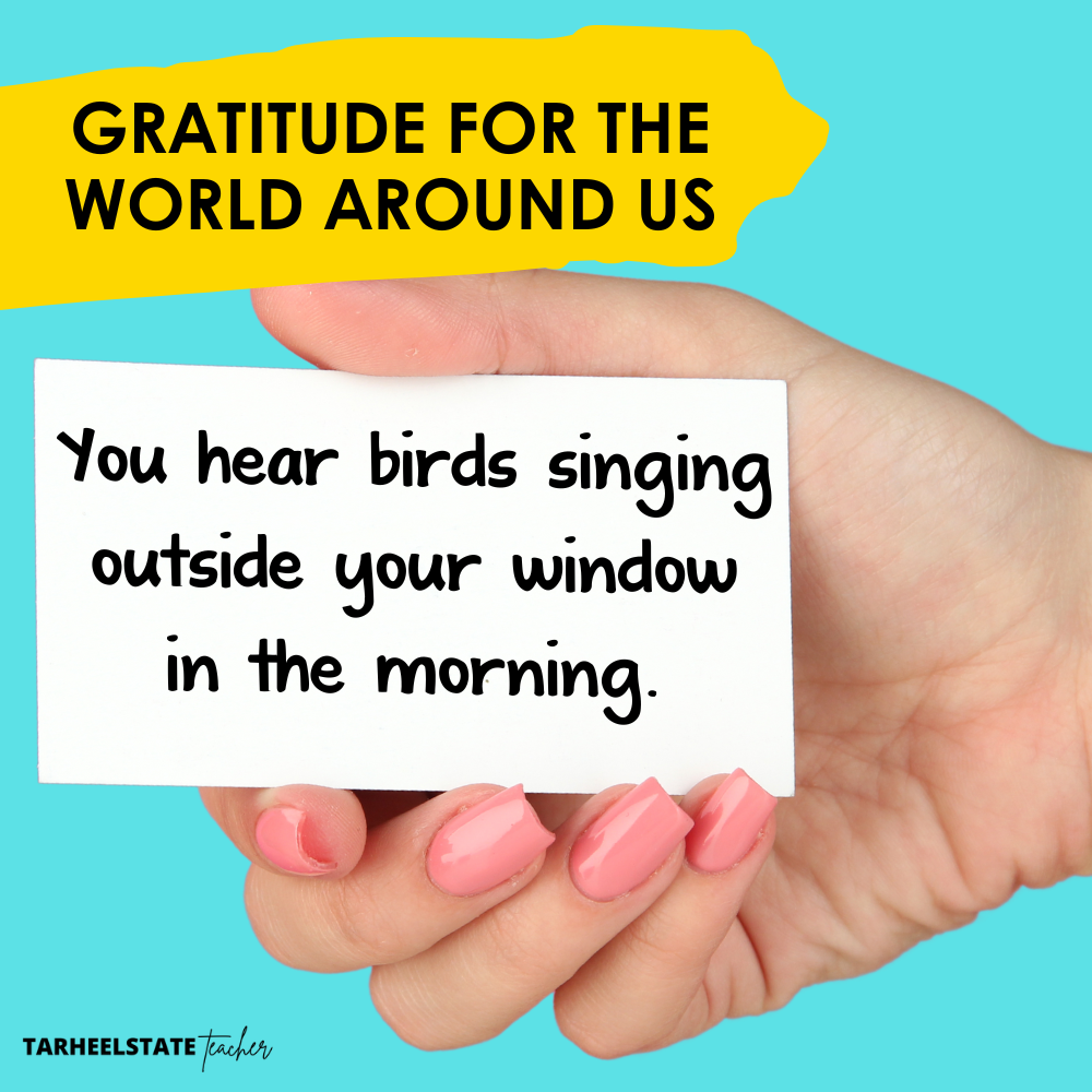 Teaching the Types of Gratitude to Inspire Everyday Gratitude in Students - TypesofGratitudeImage8 daily gratitude examples for varying types of gratitude