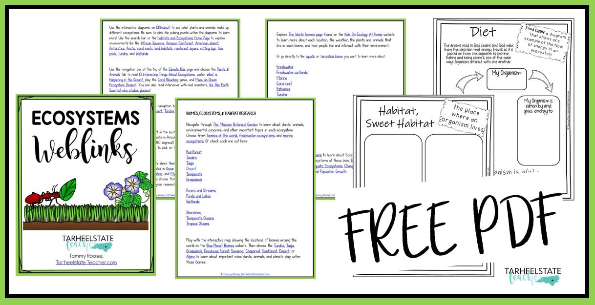 a97f3ffeda6b90ae9e07dae0ba04c3c915e8c3c5