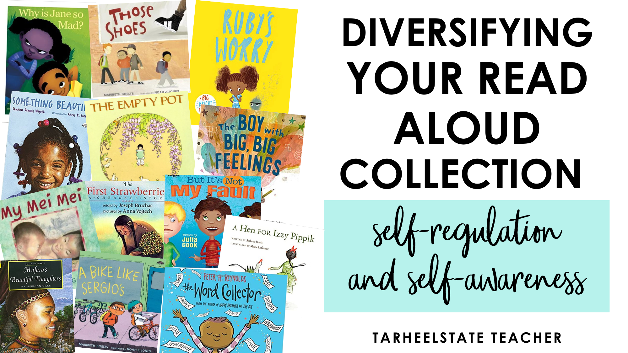 diversereadaloudsaboutselfregulationemotionsresponsibility