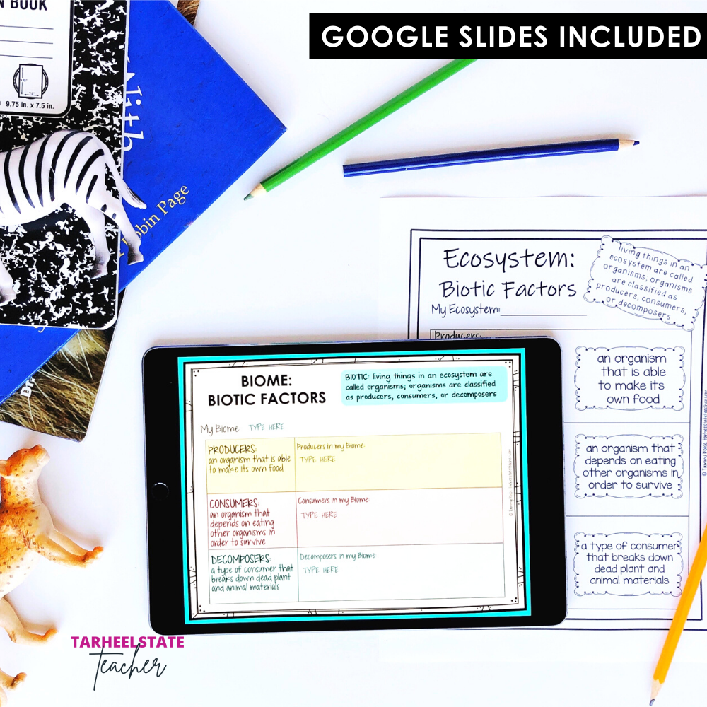 ecosystemsproducerconsumerdecomposerwdigital