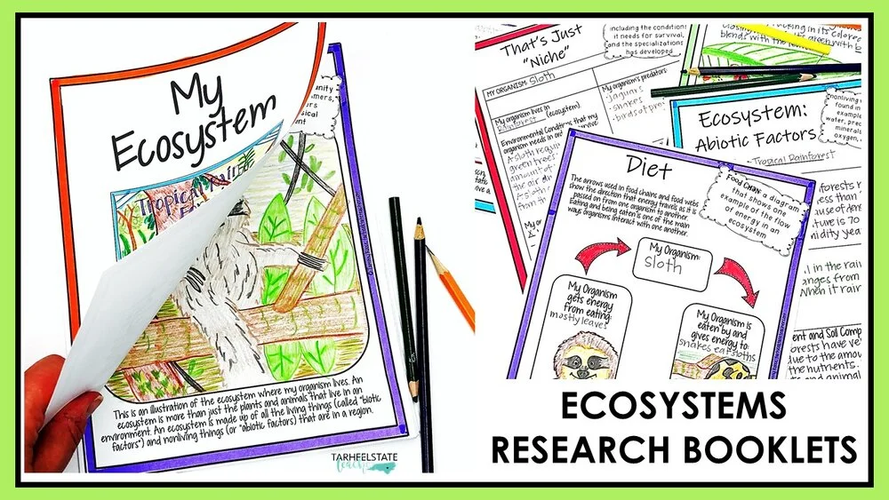 ecosystemsresearchprojectgraphicorganizers