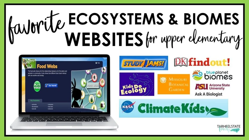 ecosystemswebsitesforkids