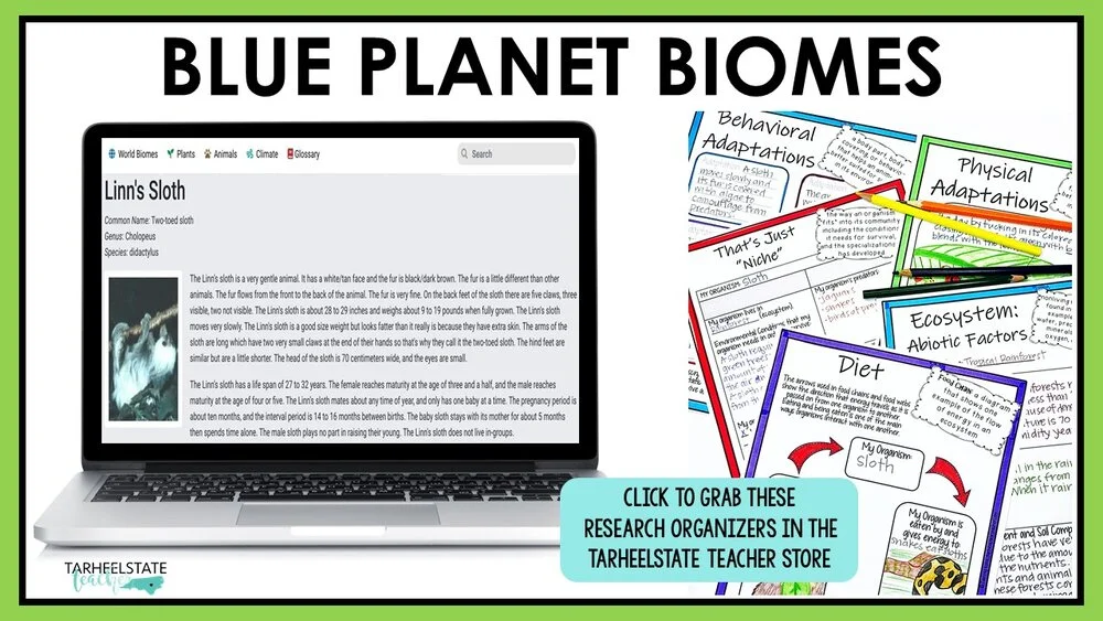 ecosystemswebsitesforkidsblueplanetbiomes
