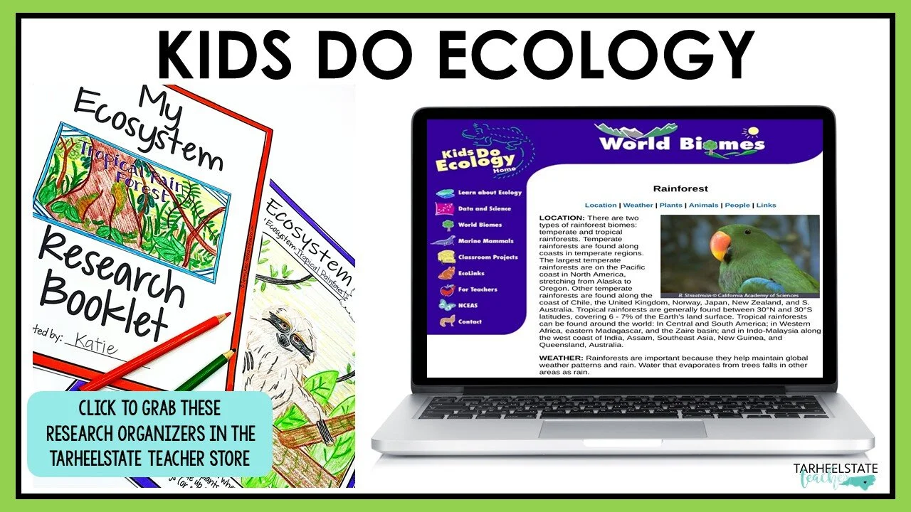 ecosystemswebsitesforkidskidsdoecology