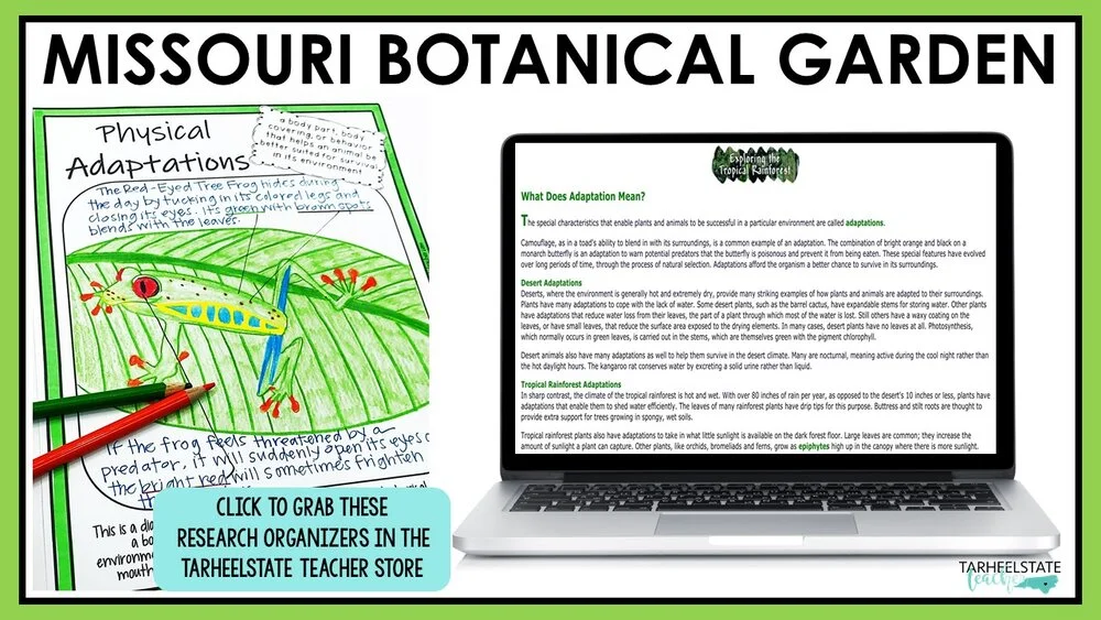 ecosystemswebsitesforkidsmissouribotanicalgarden