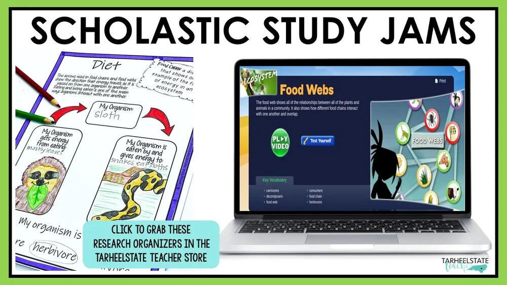 ecosystemswebsitesforkidsscholasticstudyjams