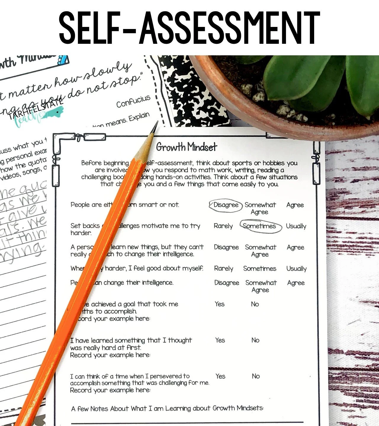 growthmindsetassessmentstudentsurvey