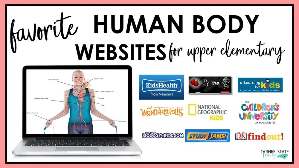 humanbodywebsitesforkids