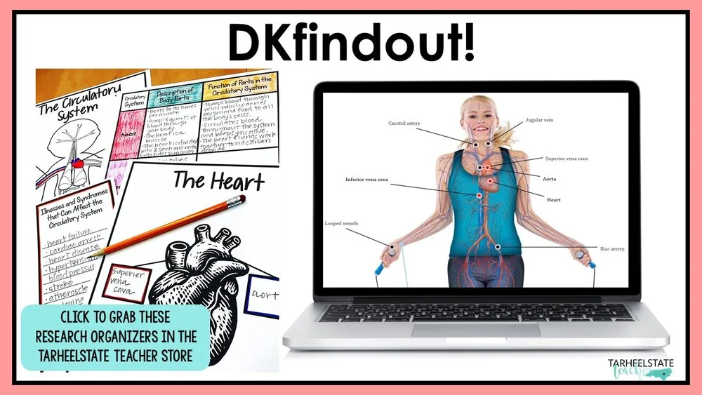 humanbodywebsitesforkidsdkfindout