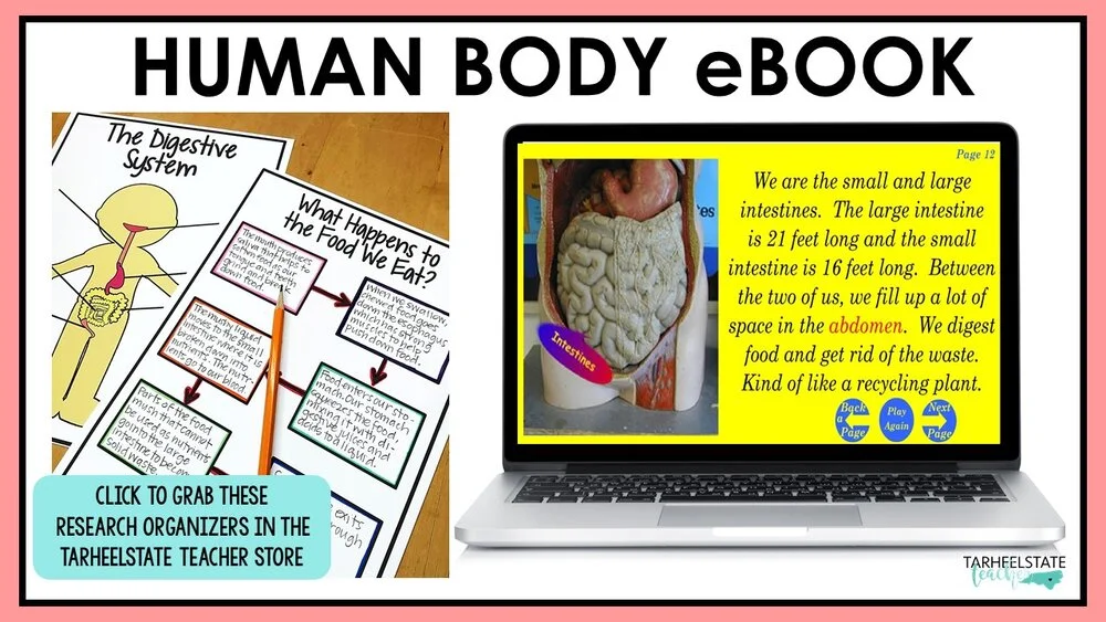 humanbodywebsitesforkidshumanbodyebook