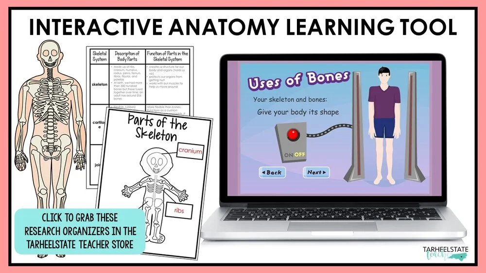 humanbodywebsitesforkidsinteractiveanatomylearningtool