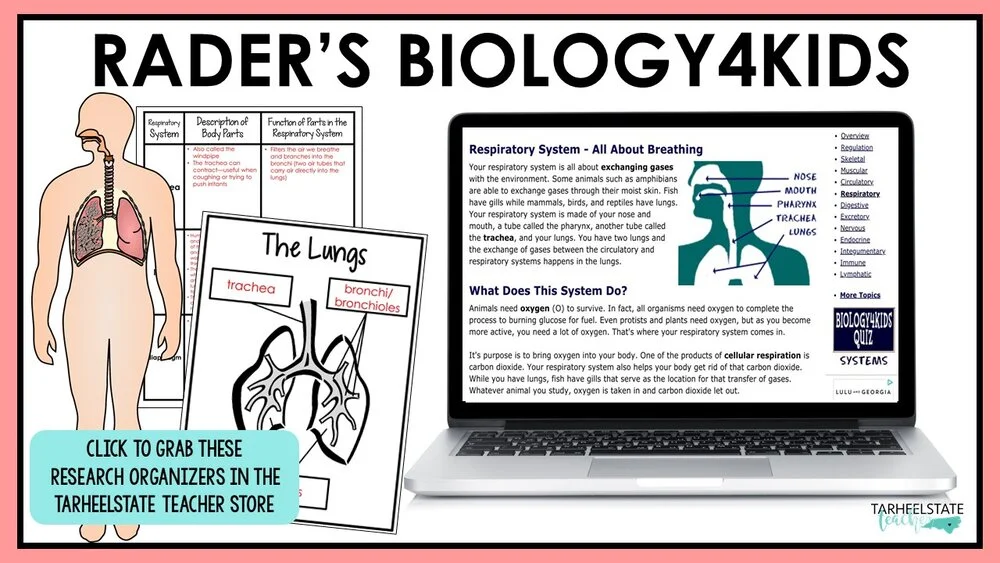 humanbodywebsitesforkidsradersbiology4kids