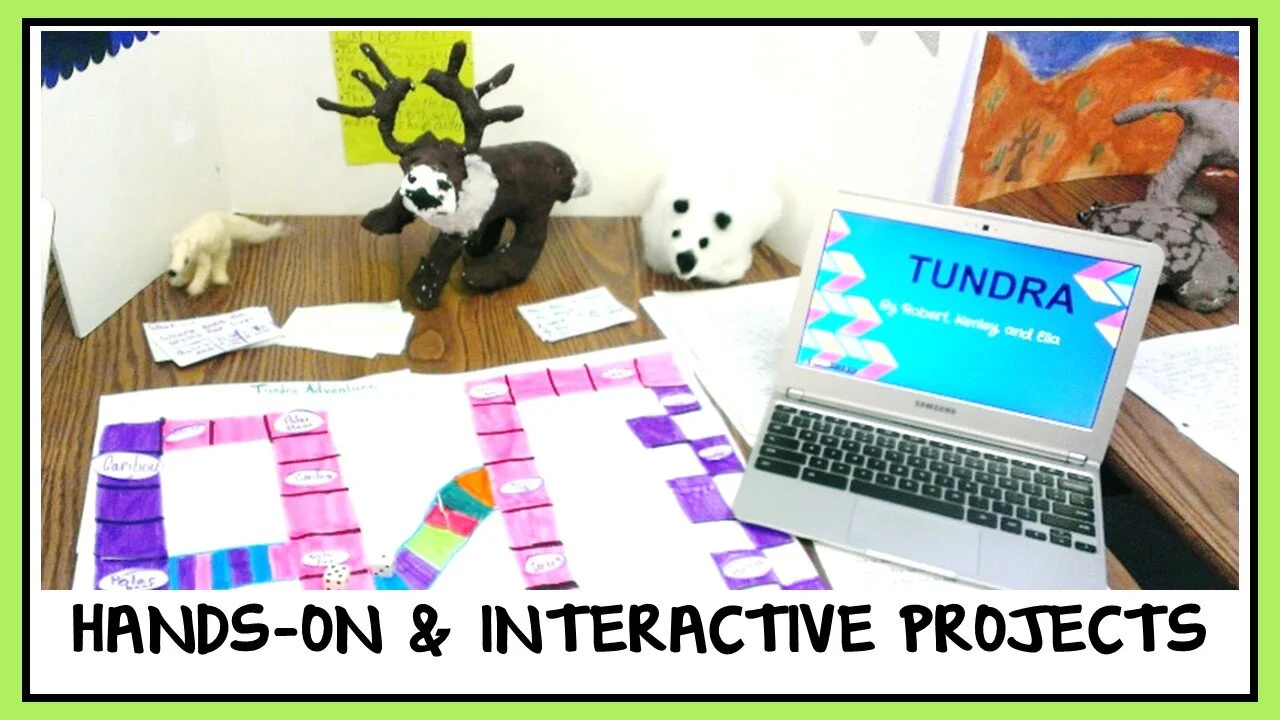 interactiveecosystemsprojectgames