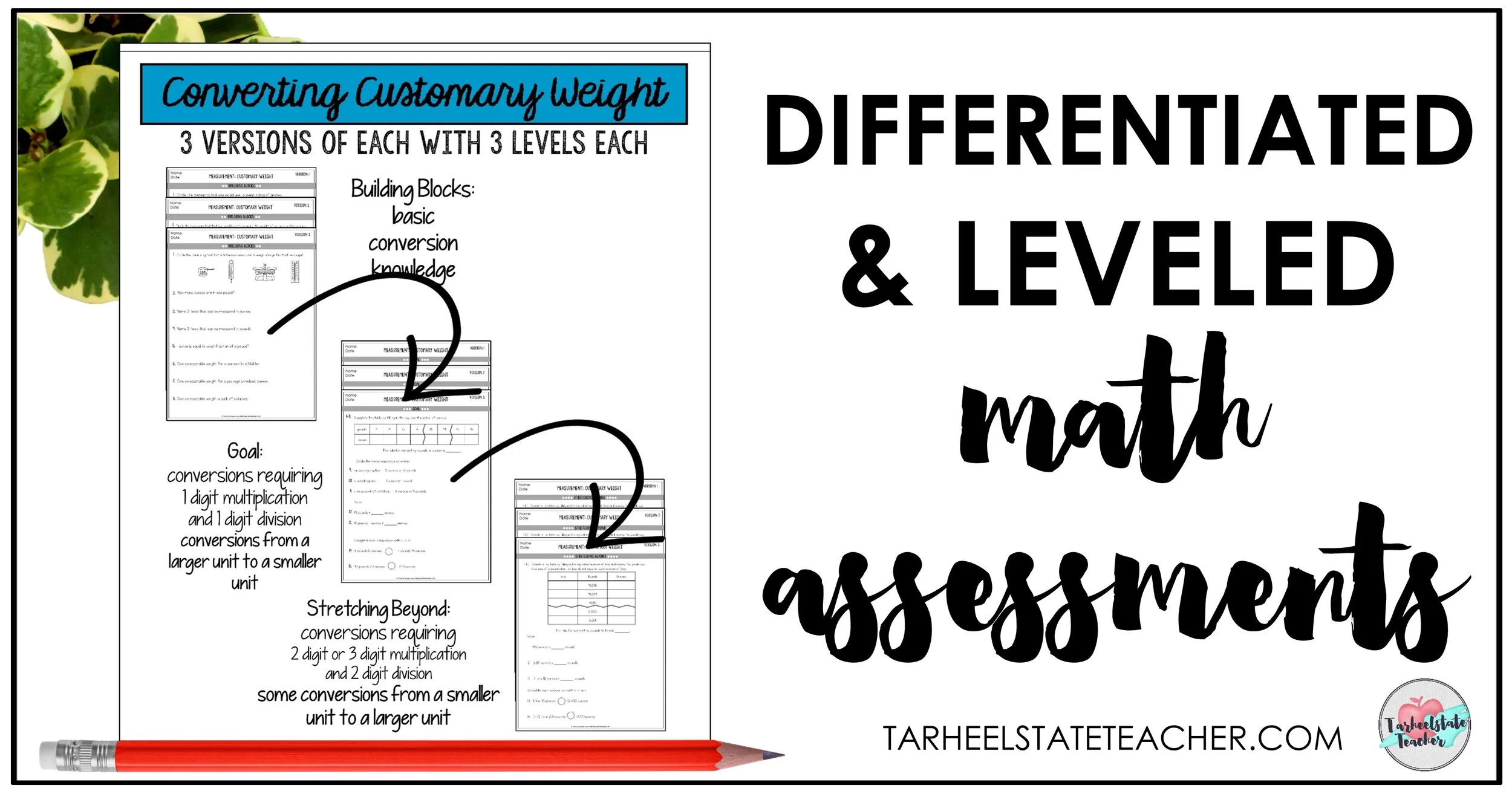 leveledtestsassessmentsmeasurementmultiplicationconnection