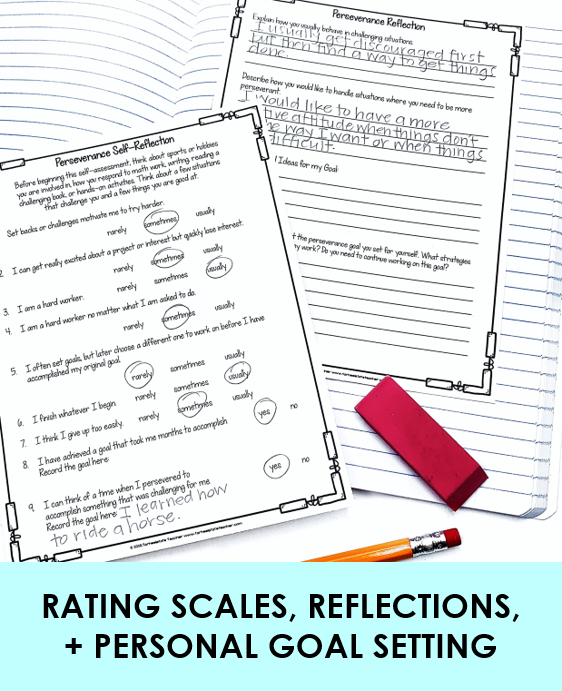 mmnotebooksselfreflectionpersevere